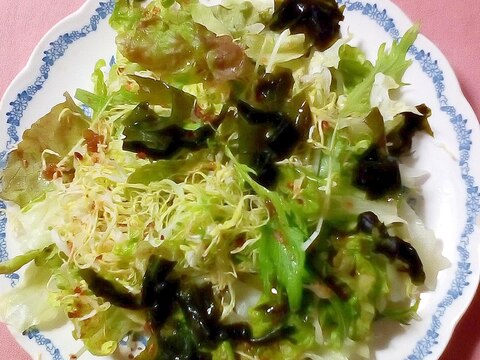 わかめとキャベツ水菜のサラダ